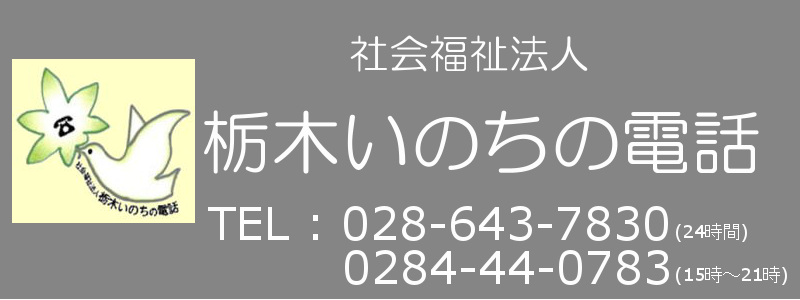 SAMPLE WEBSITE